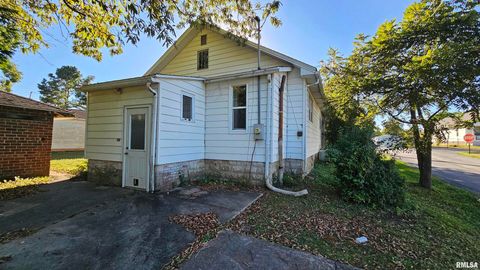 Tiny photo for 1313 N NEWTON Avenue, Johnston City, IL 62951 (MLS # EB460059)