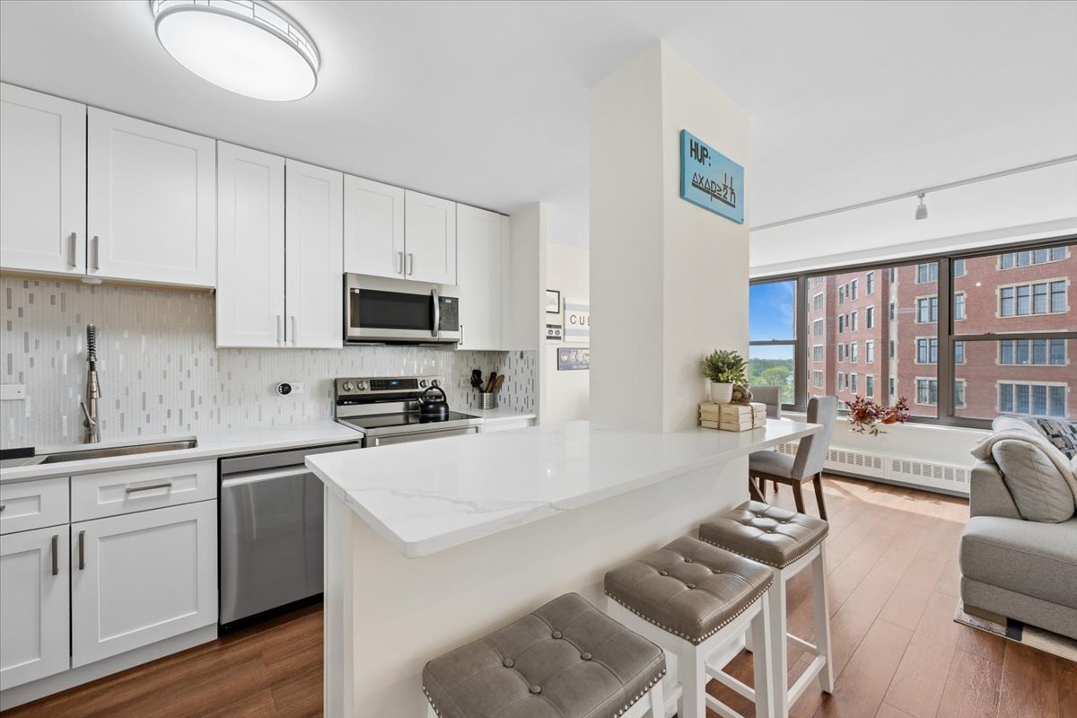 3900 N Lake Shore Drive 9D