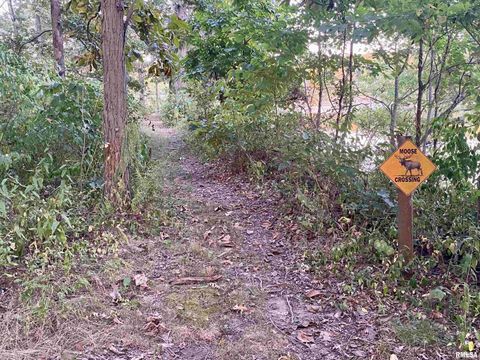 Tiny photo for 3526 Kendale Acres Road, Tamaroa, IL 62888 (MLS # EB460357)