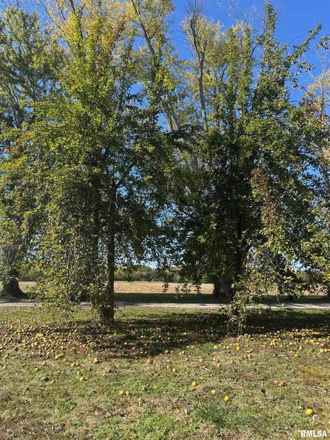 Tiny photo for 3526 Kendale Acres Road, Tamaroa, IL 62888 (MLS # EB460357)