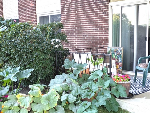 Tiny photo for 5540 WALNUT Avenue #23AA, Downers Grove, IL 60515 (MLS # 12758143)