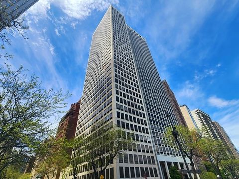 1100 N LAKE SHORE Drive 36B Chicago IL 60611