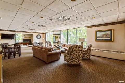 Tiny photo for 1800 7TH Street #2A, East Moline, IL 61244 (MLS # QC4267752)