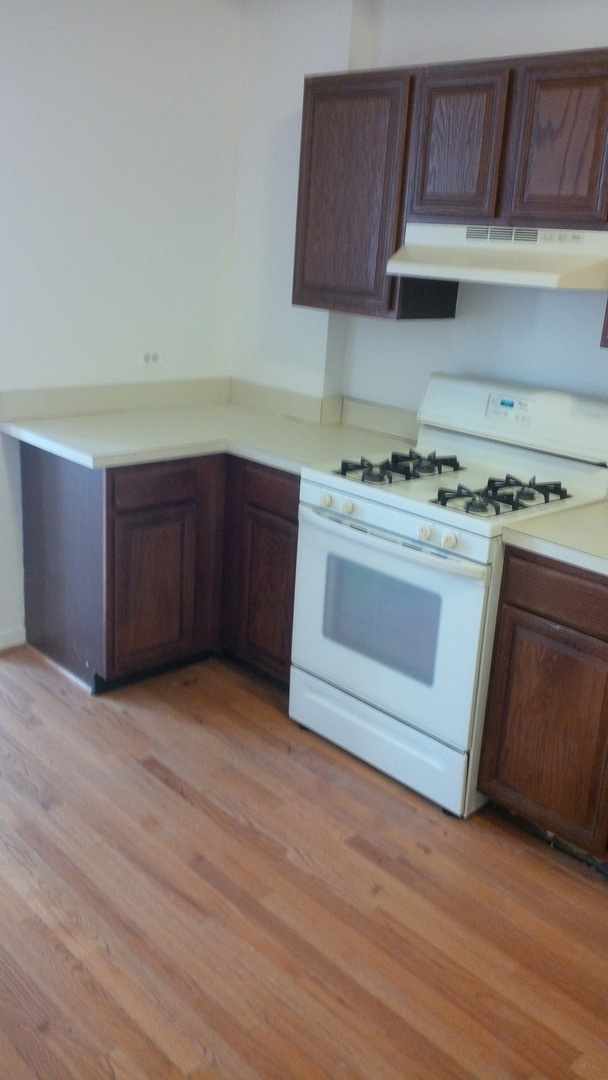 1870 N Halsted Street 2F