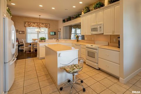 Tiny photo for 1410 BRADFORD Lane, Carbondale, IL 62901 (MLS # EB459431)