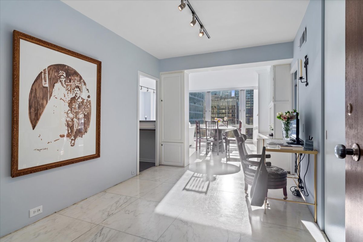 880 N Lake Shore Drive 16G