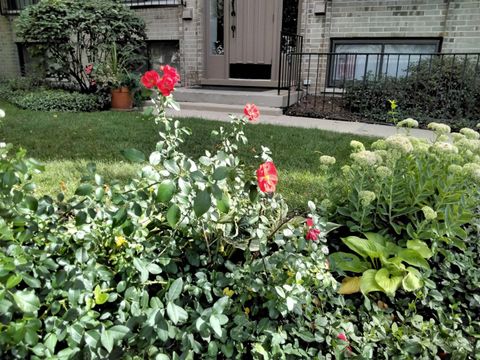 Tiny photo for 1706 Northfield Square #D, Northfield, IL 60093 (MLS # 12600183)