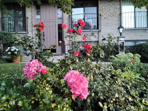 Tiny photo for 1706 Northfield Square #D, Northfield, IL 60093 (MLS # 12600183)