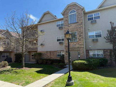 1443 Spring Brook Court 1B Round Lake Beach IL 60073