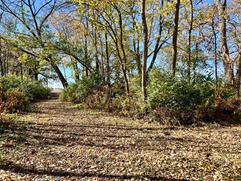 Tiny photo for 2175 Old Police Park Road, St. Joseph, IL 61873 (MLS # 12507384)