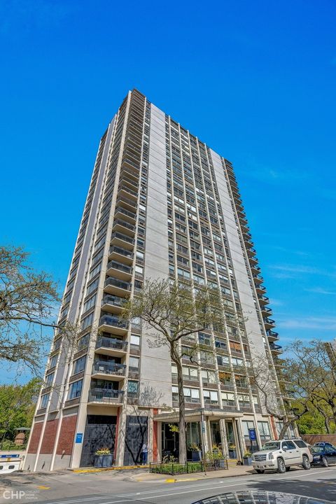 1355 N Sandburg Terrace 2005 Chicago IL 60610