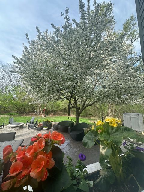 Tiny photo for 1203 MACINTOSH Drive, Wauconda, IL 60084 (MLS # 12620641)
