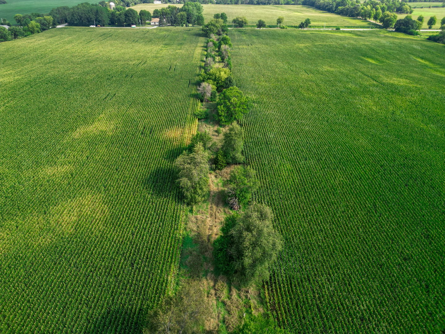 Huntley, Illinois 60142, United States, ,Residential,Active,195215