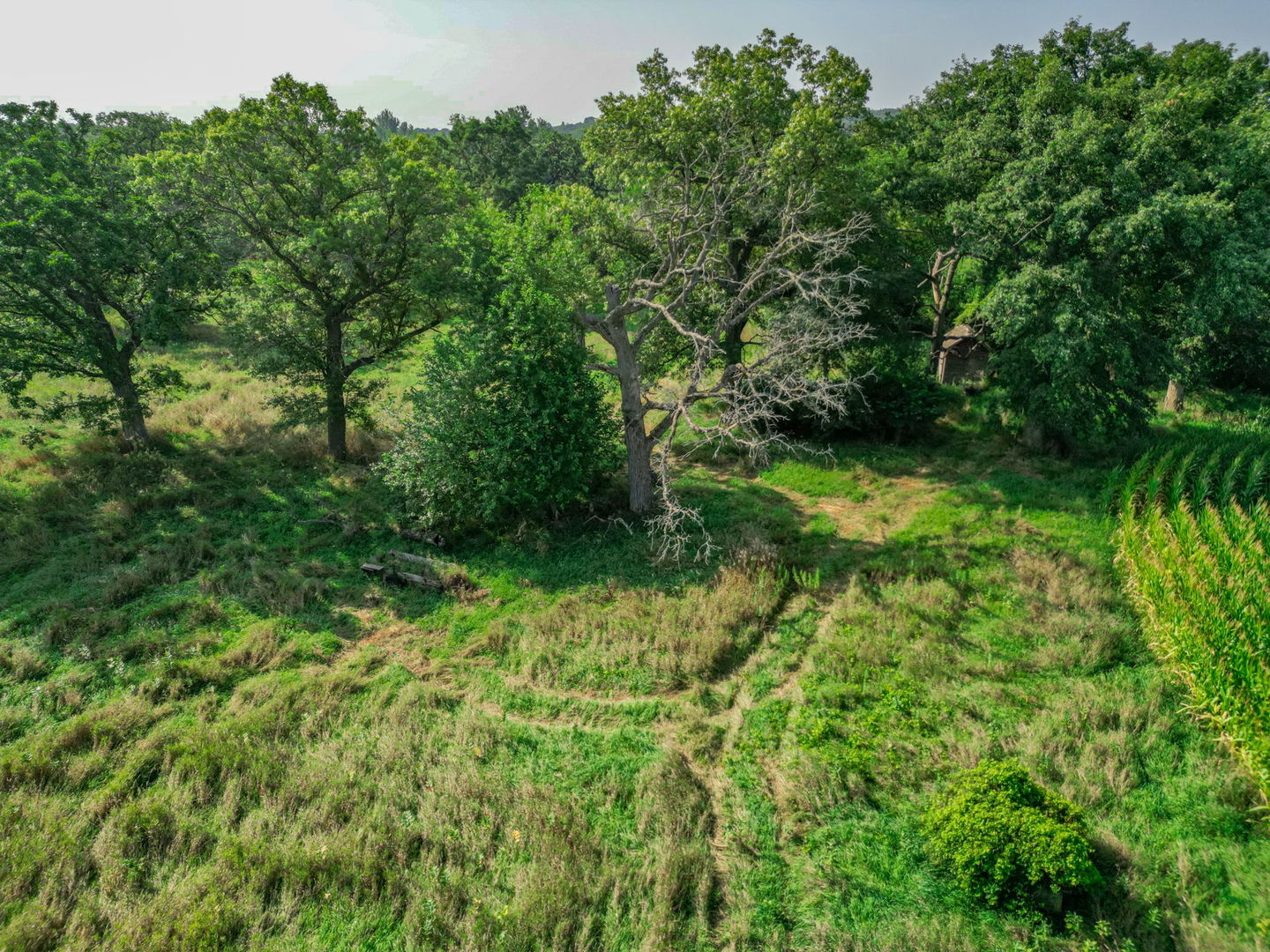 Huntley, Illinois 60142, United States, ,Residential,Active,195215