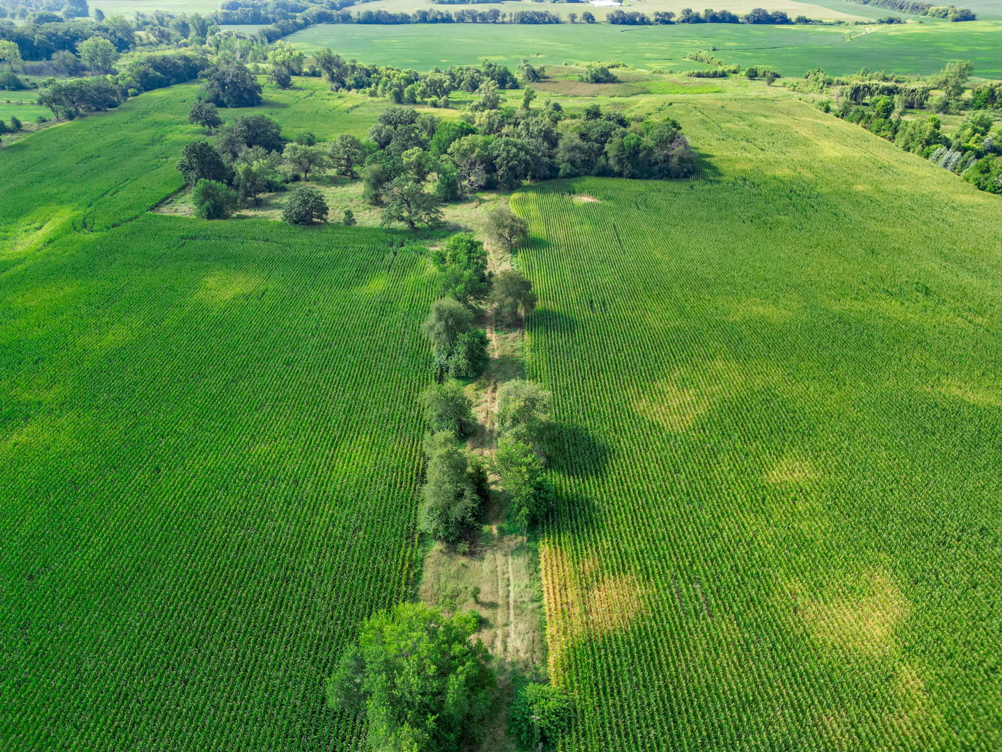 Huntley, Illinois 60142, United States, ,Residential,Active,195215