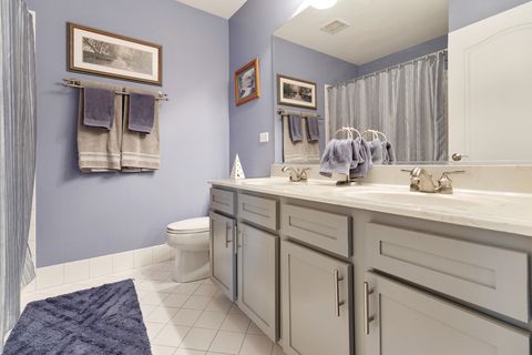 Tiny photo for 1127 Pine Valley Court, Elgin, IL 60124 (MLS # 12507902)