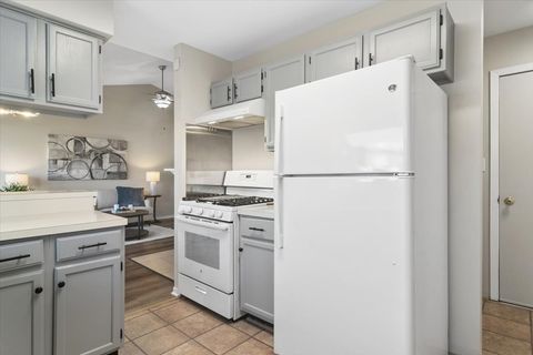 Tiny photo for 1445 Tanglewood Avenue, Palatine, IL 60067 (MLS # 12612511)