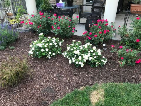 Tiny photo for 902 Sherwood Place, Joliet, IL 60435 (MLS # 12561659)