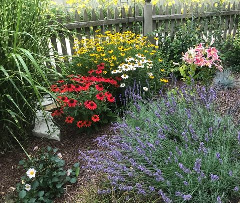 Tiny photo for 902 Sherwood Place, Joliet, IL 60435 (MLS # 12561659)