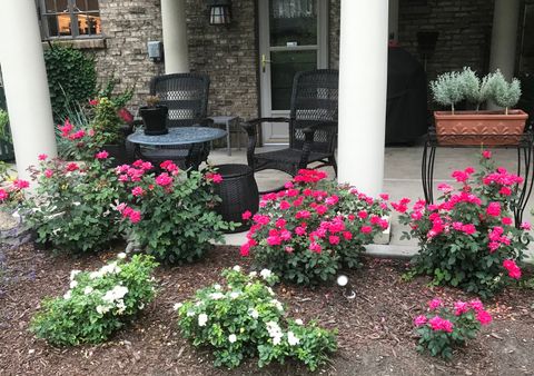 Tiny photo for 902 Sherwood Place, Joliet, IL 60435 (MLS # 12561659)