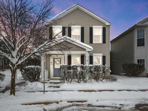 Photo of 986 Four Seasons Boulevard, Aurora, IL 60504 (MLS # 12527831)