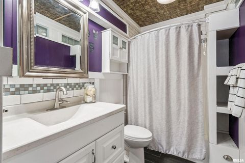 Tiny photo for 126 S GENESSEE Street, Blue Grass, IA 52726 (MLS # QC4270016)