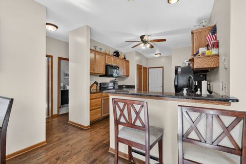 Tiny photo for 24453 S Blackhawk Drive, Channahon, IL 60410 (MLS # 12656601)