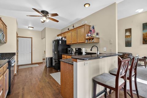 Tiny photo for 24453 S Blackhawk Drive, Channahon, IL 60410 (MLS # 12656601)