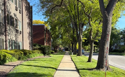 Tiny photo for 1117 Leavitt Avenue #108, Flossmoor, IL 60422 (MLS # 12649759)