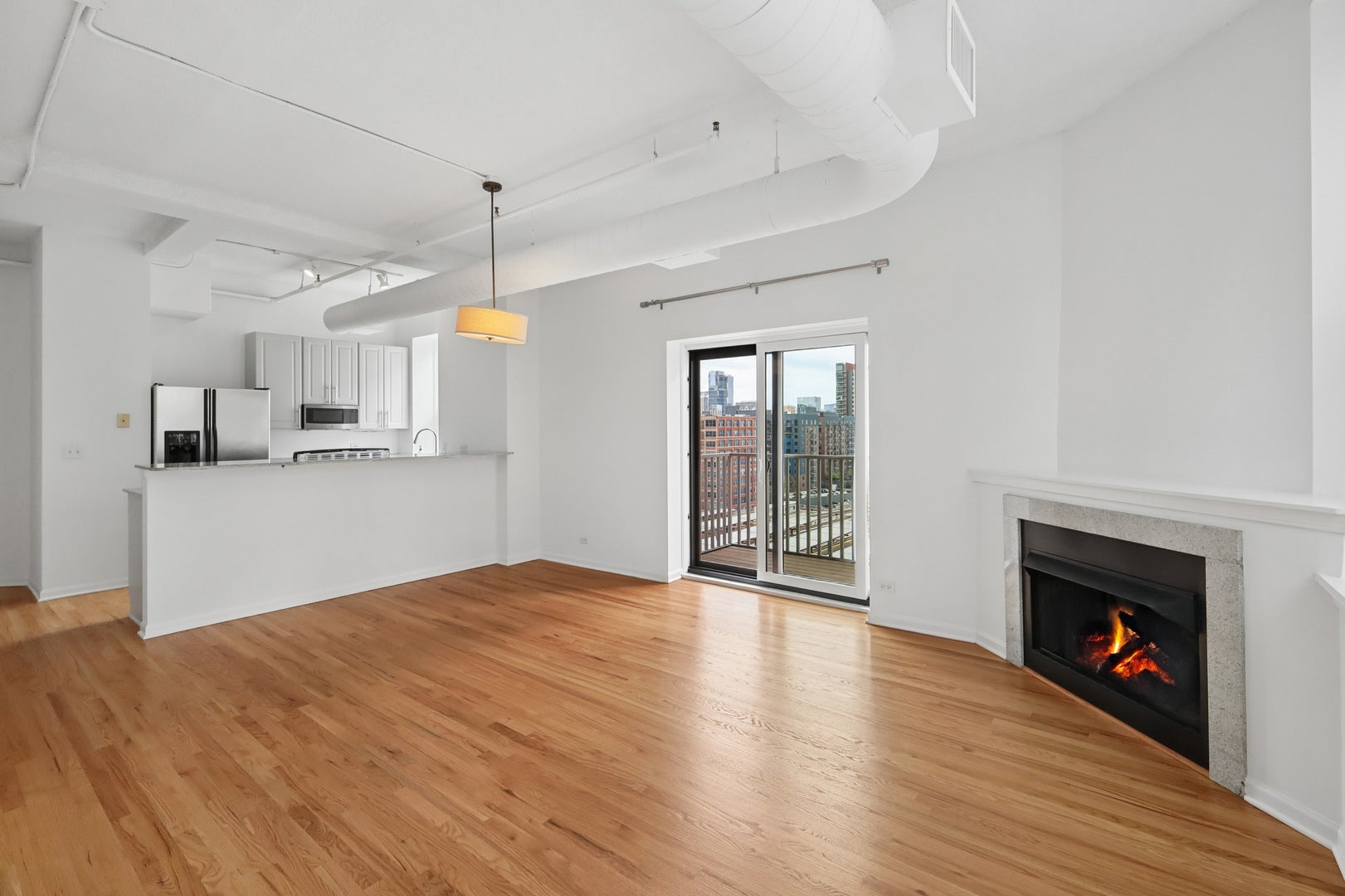 161 W Harrison Street 1007