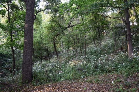 Tiny photo for 420 N High Street, Galena, IL 61036 (MLS # 12484838)