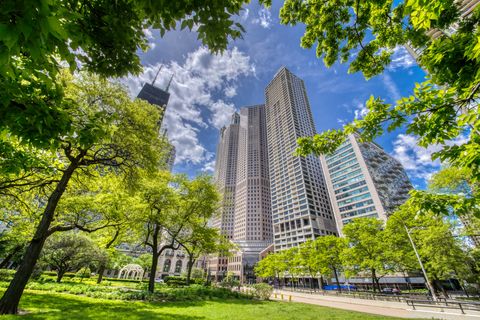 1000 N Lake Shore Plaza 17C Chicago IL 60611