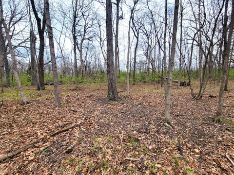 Tiny photo for 2569 E 22nd Road, Marseilles, IL 61341 (MLS # 12616328)