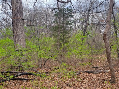 Tiny photo for 2569 E 22nd Road, Marseilles, IL 61341 (MLS # 12616328)