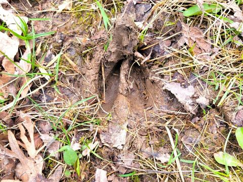 Tiny photo for 2569 E 22nd Road, Marseilles, IL 61341 (MLS # 12616328)