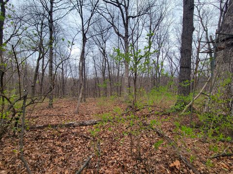 Tiny photo for 2569 E 22nd Road, Marseilles, IL 61341 (MLS # 12616328)