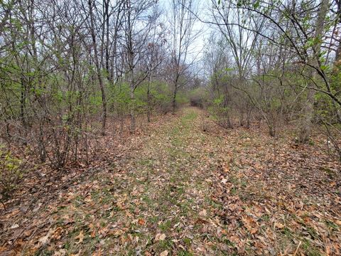 Tiny photo for 2569 E 22nd Road, Marseilles, IL 61341 (MLS # 12616328)