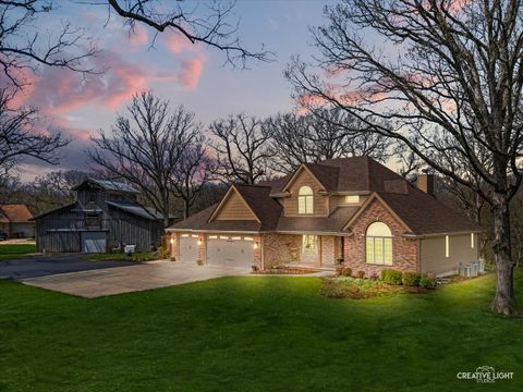 Photo of 10045 N Bell Road, Minooka, IL 60447 (MLS # 12619753)