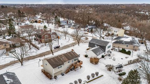 Tiny photo for 730 Chestnut Court, Algonquin, IL 60102 (MLS # 12548702)