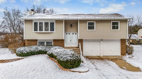 Tiny photo for 730 Chestnut Court, Algonquin, IL 60102 (MLS # 12548702)