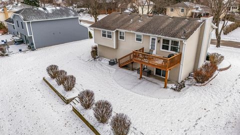 Tiny photo for 730 Chestnut Court, Algonquin, IL 60102 (MLS # 12548702)