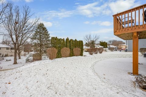 Tiny photo for 730 Chestnut Court, Algonquin, IL 60102 (MLS # 12548702)