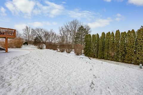 Tiny photo for 730 Chestnut Court, Algonquin, IL 60102 (MLS # 12548702)