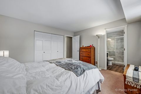 Tiny photo for 730 Chestnut Court, Algonquin, IL 60102 (MLS # 12548702)