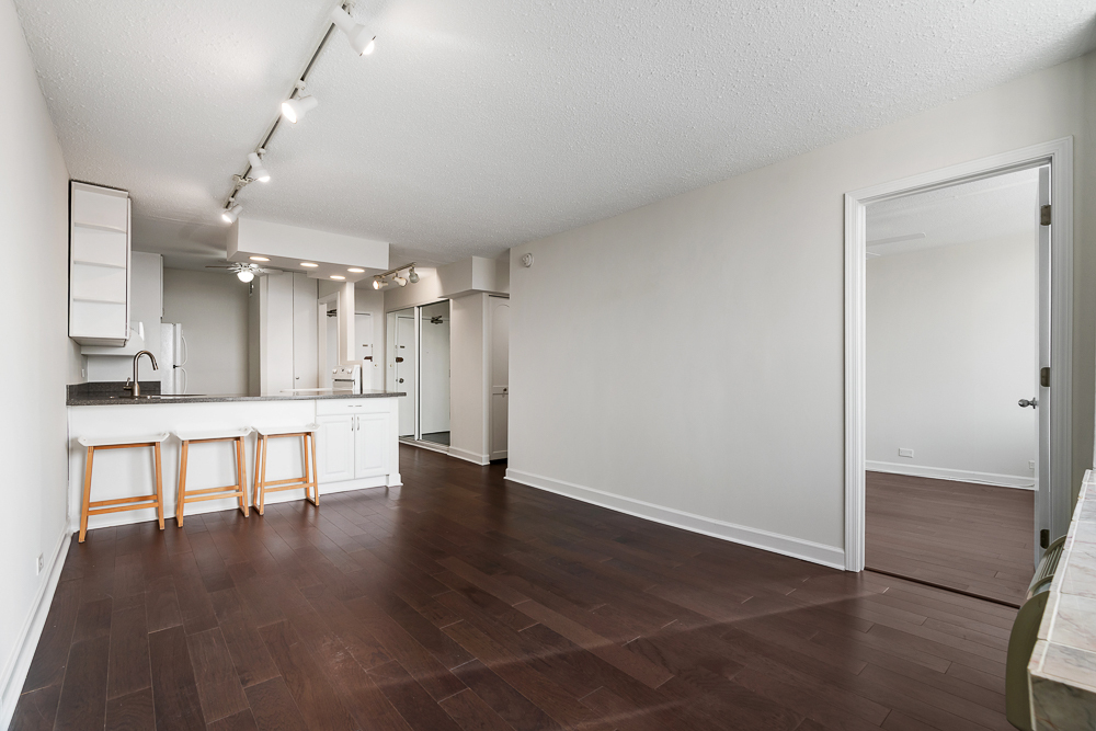 1455 N Sandburg Terrace 2907B