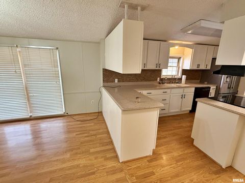 Tiny photo for 2510 STRAWBERRY Road, Brookport, IL 62910 (MLS # EB460713)