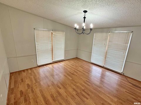 Tiny photo for 2510 STRAWBERRY Road, Brookport, IL 62910 (MLS # EB460713)