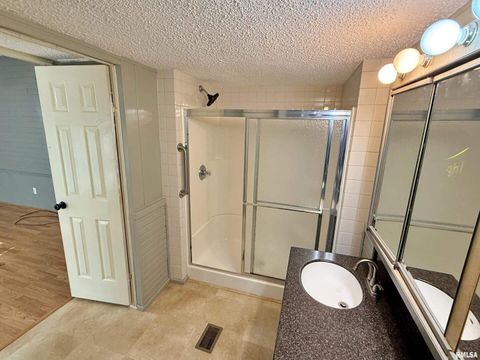 Tiny photo for 2510 STRAWBERRY Road, Brookport, IL 62910 (MLS # EB460713)