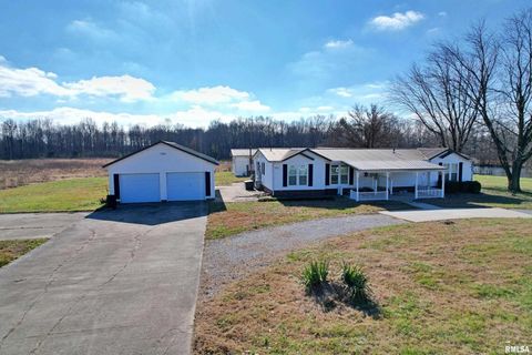 Tiny photo for 2510 STRAWBERRY Road, Brookport, IL 62910 (MLS # EB460713)