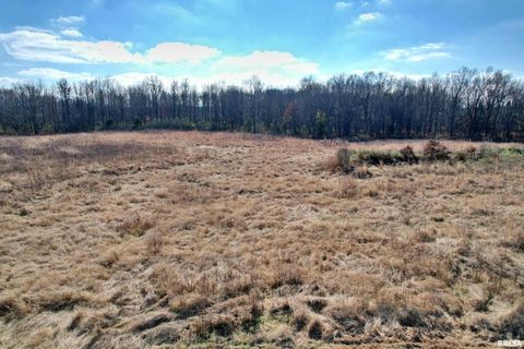 Tiny photo for 2510 STRAWBERRY Road, Brookport, IL 62910 (MLS # EB460713)